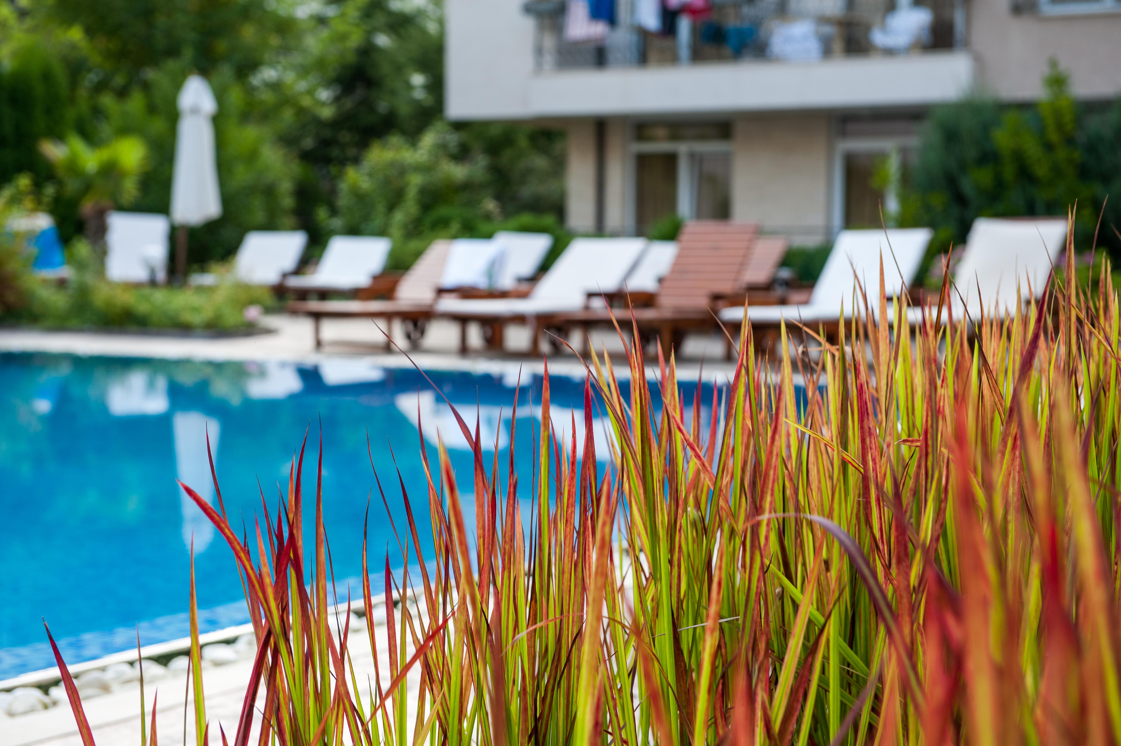 Aparthotel Dawn Park Complex Słoneczny Brzeg Zewnętrze zdjęcie